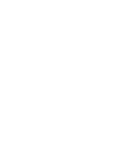 Dr. Koohestani